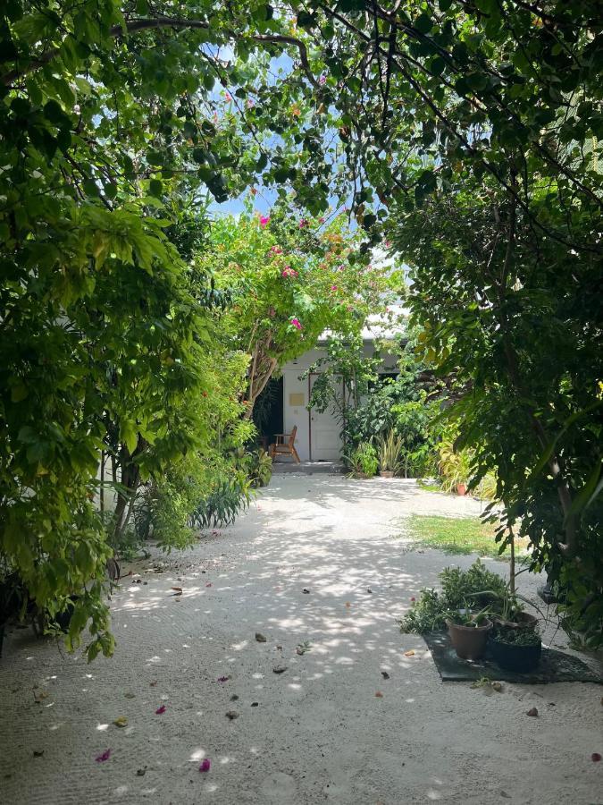Lagoon Villa Maldives Thoddoo Luaran gambar