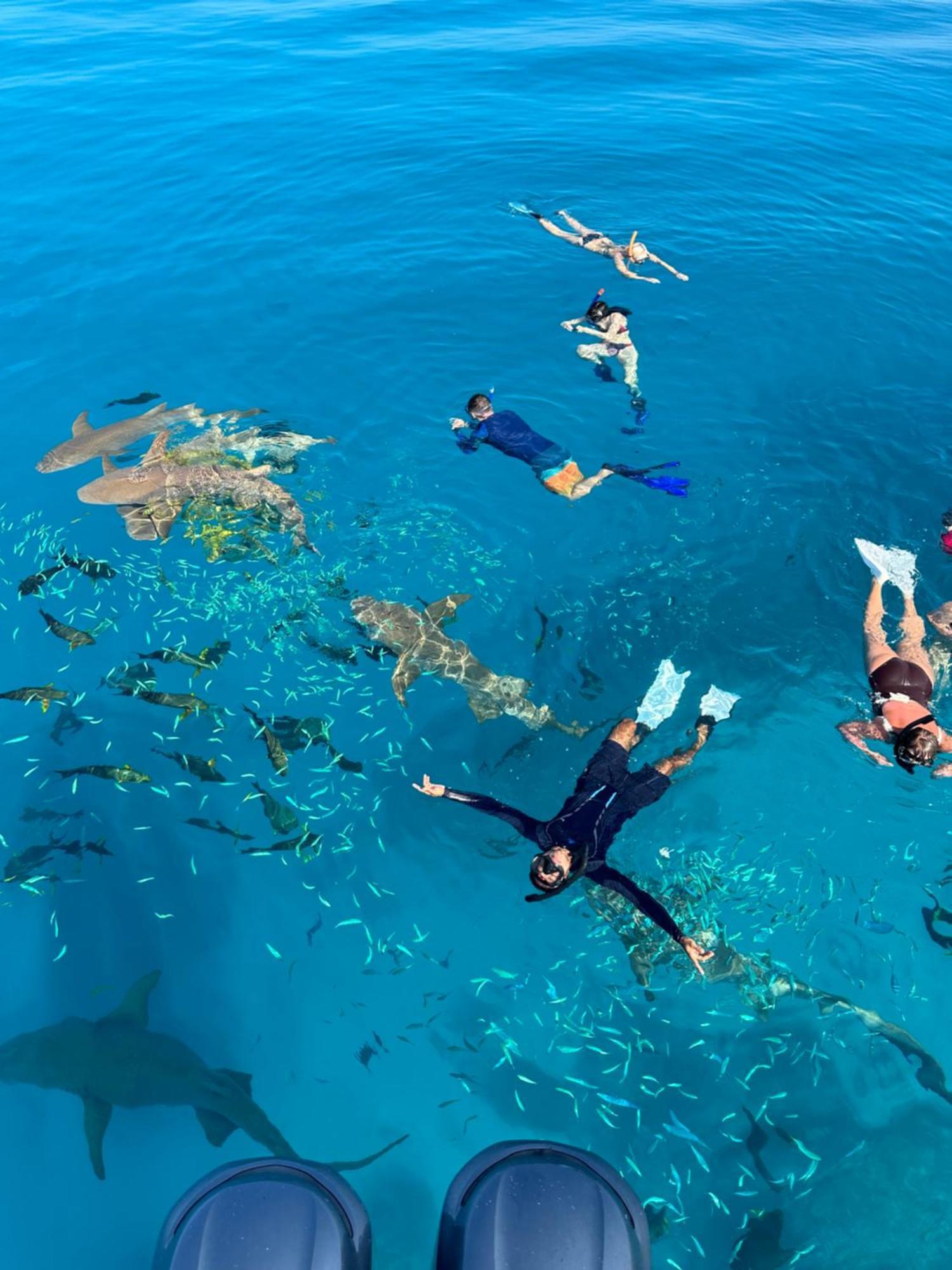 Lagoon Villa Maldives Thoddoo Luaran gambar