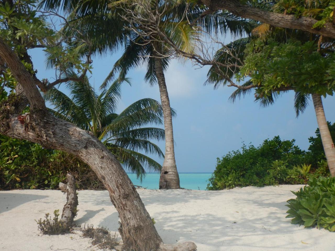 Lagoon Villa Maldives Thoddoo Luaran gambar